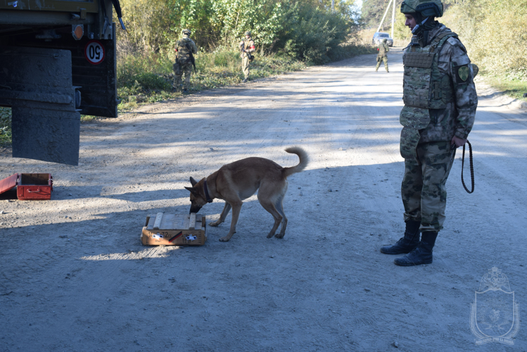 Военный институт совместно со следственным комитетом провели межведомственный научно-методический семинар