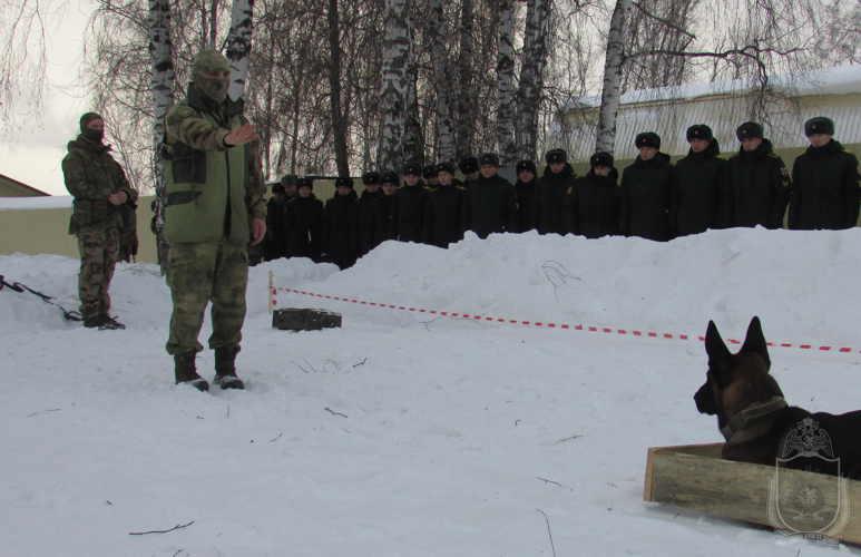 Проведен научно-практический семинар по применению служебных собак