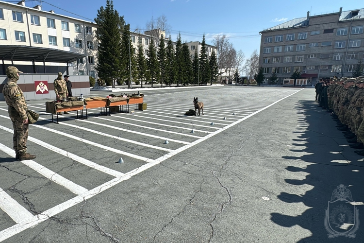В военном институте проведена межведомственная научно-практическая конференция