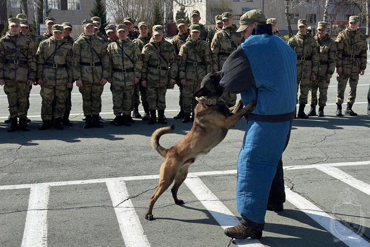 В военном институте проведена межведомственная научно-практическая конференция